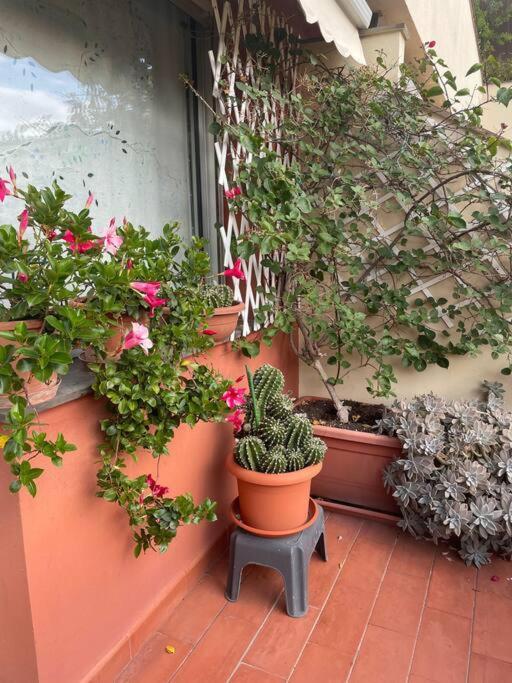 La Casa Di Teri A Chiavari Buitenkant foto